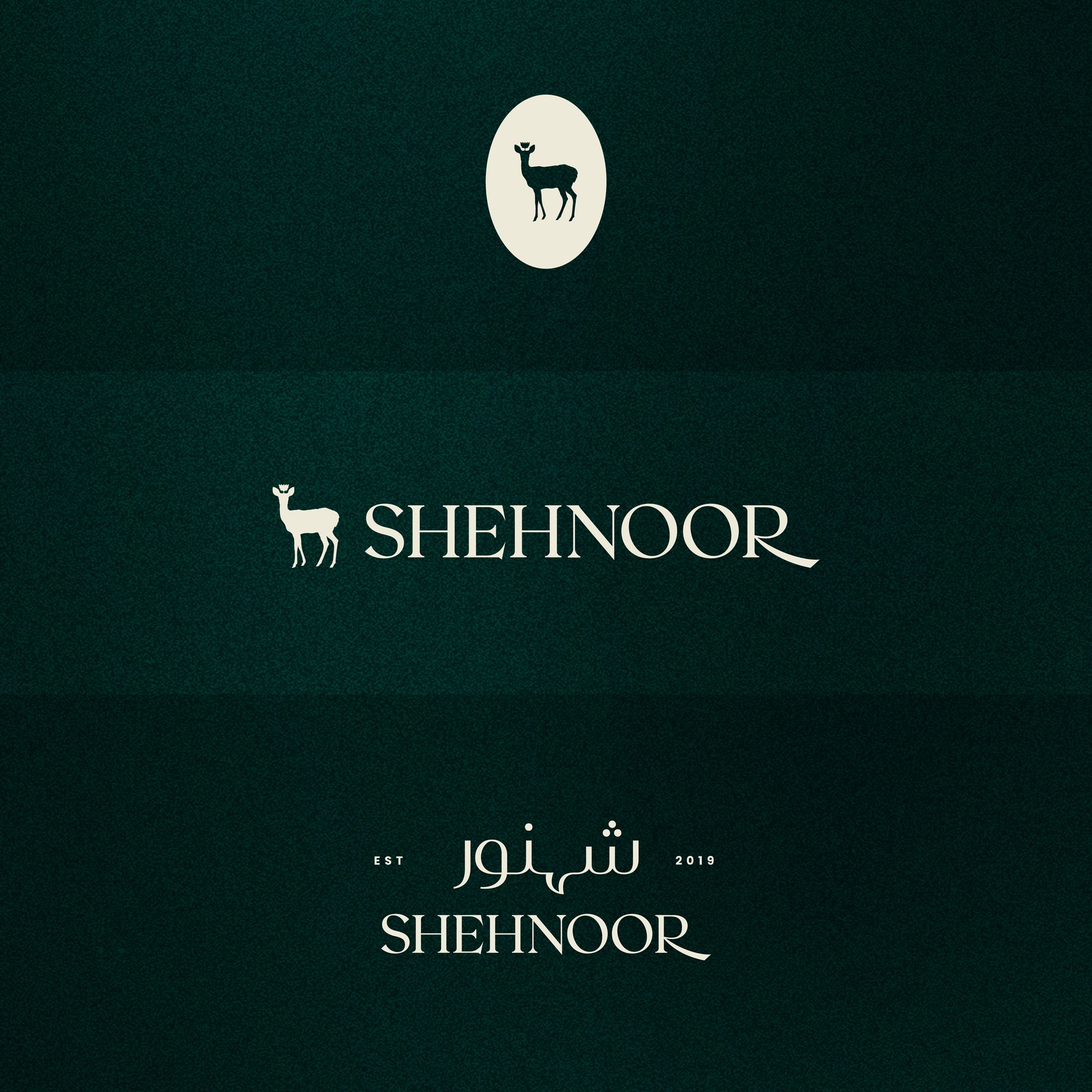 Shehnoor — frame 4