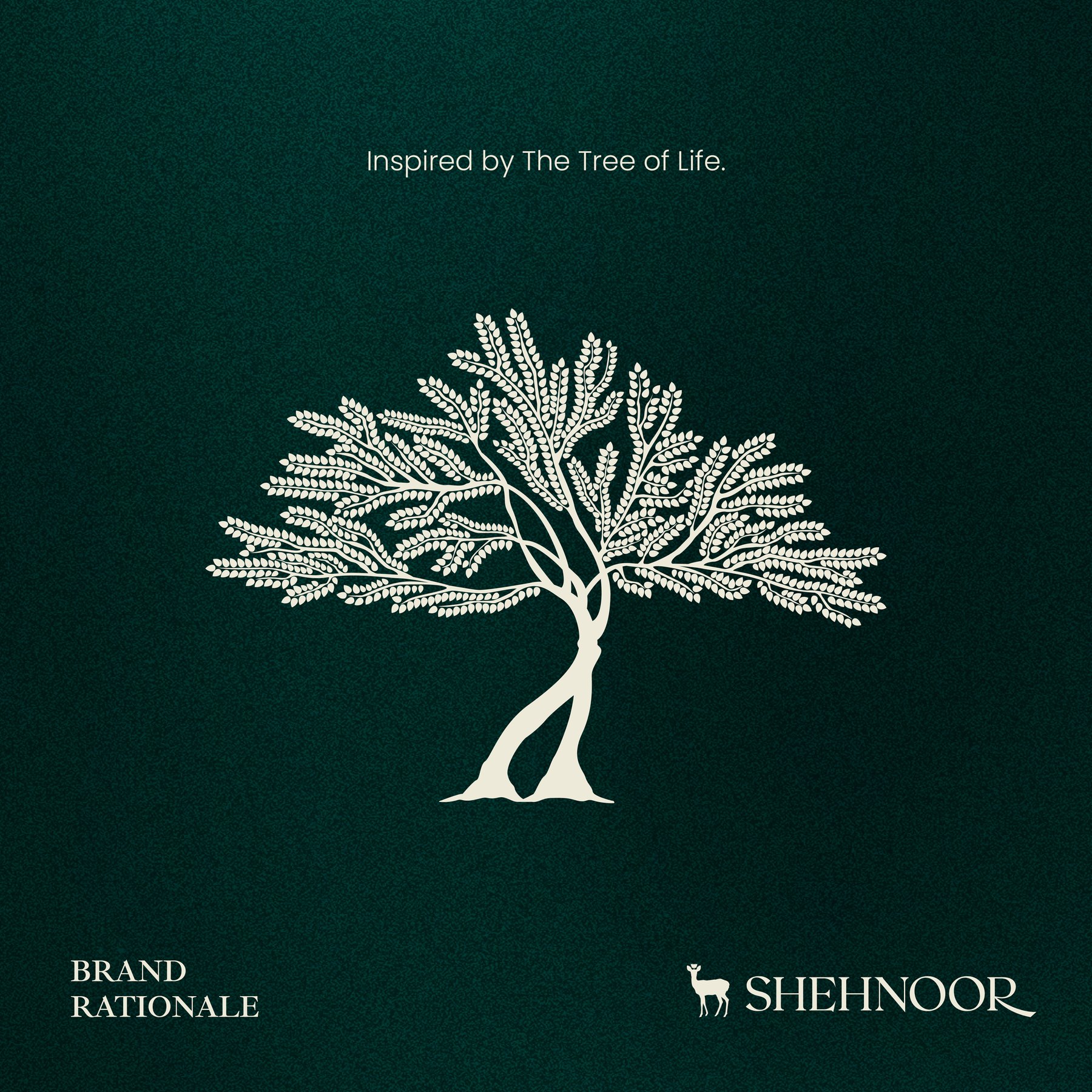 Shehnoor — frame 3