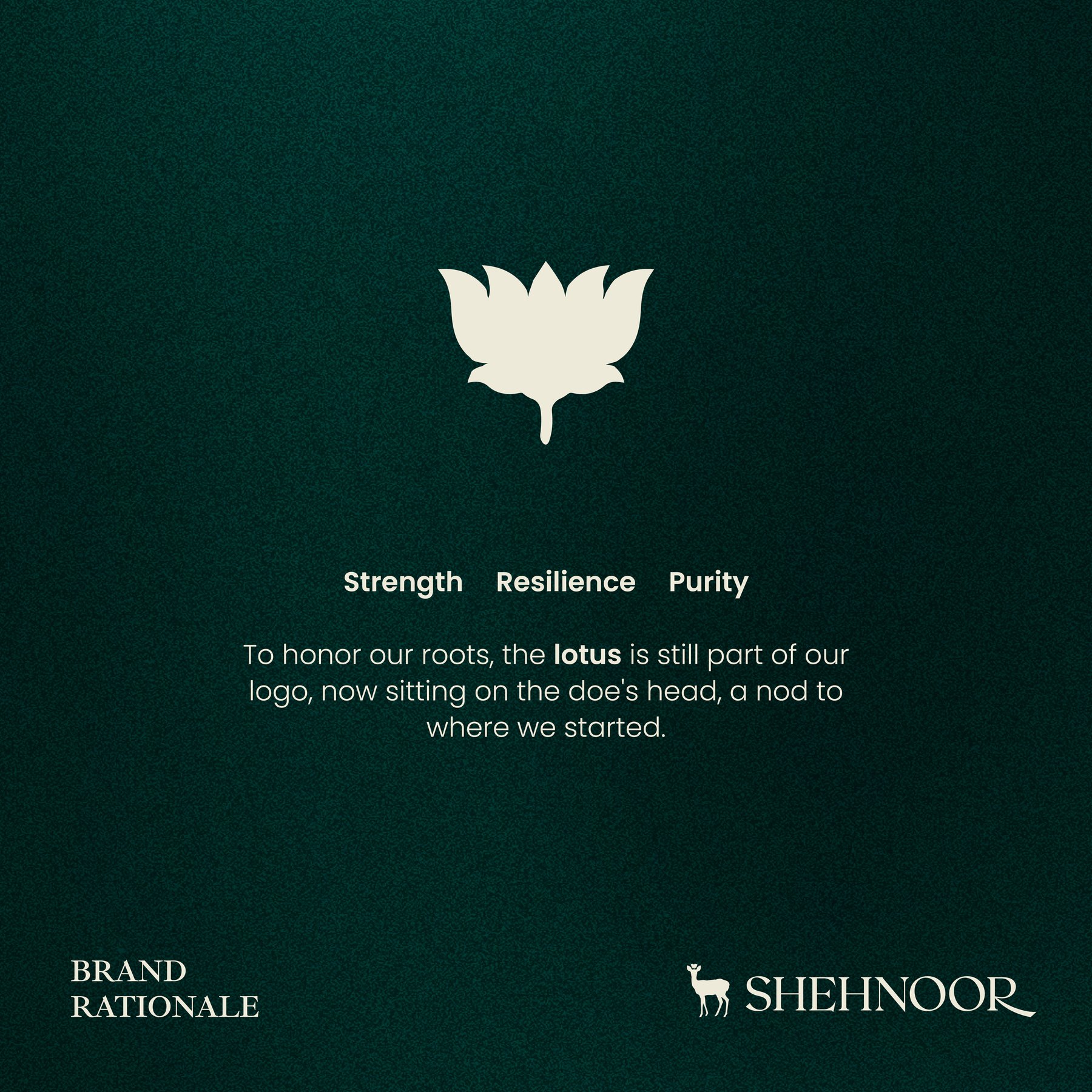 Shehnoor — frame 2